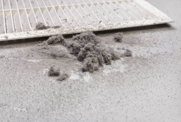 Best Emergency Air Duct Cleaning  in Orient, NY