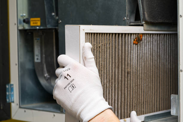 Best Emergency Air Duct Cleaning  in Orient, NY
